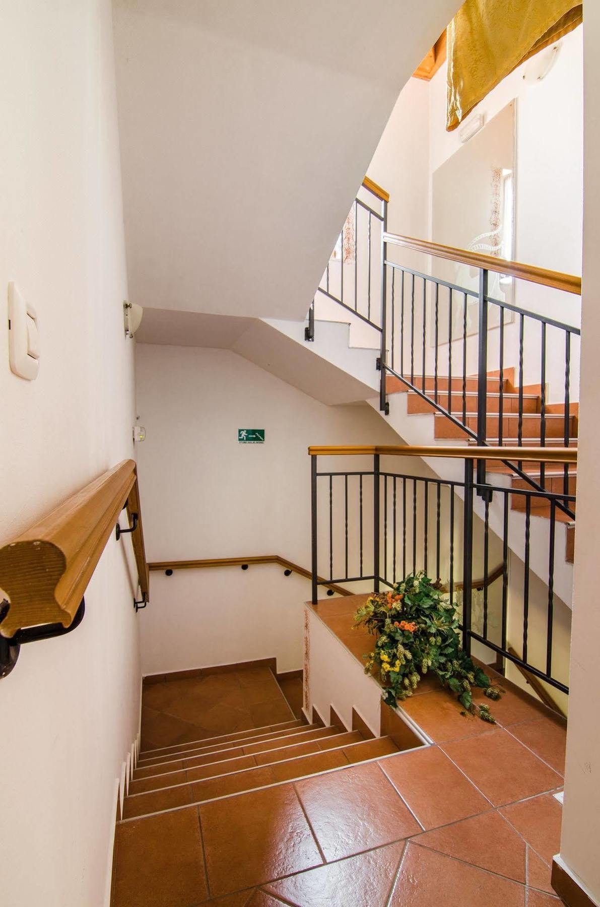 Villa Calussovo Ripenda Kras Eksteriør bilde